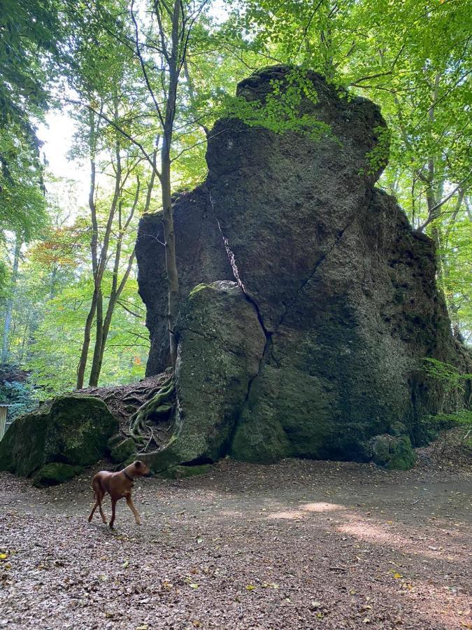 Ferienhaus Waldblick Hohenfels-Essingen Luaran gambar