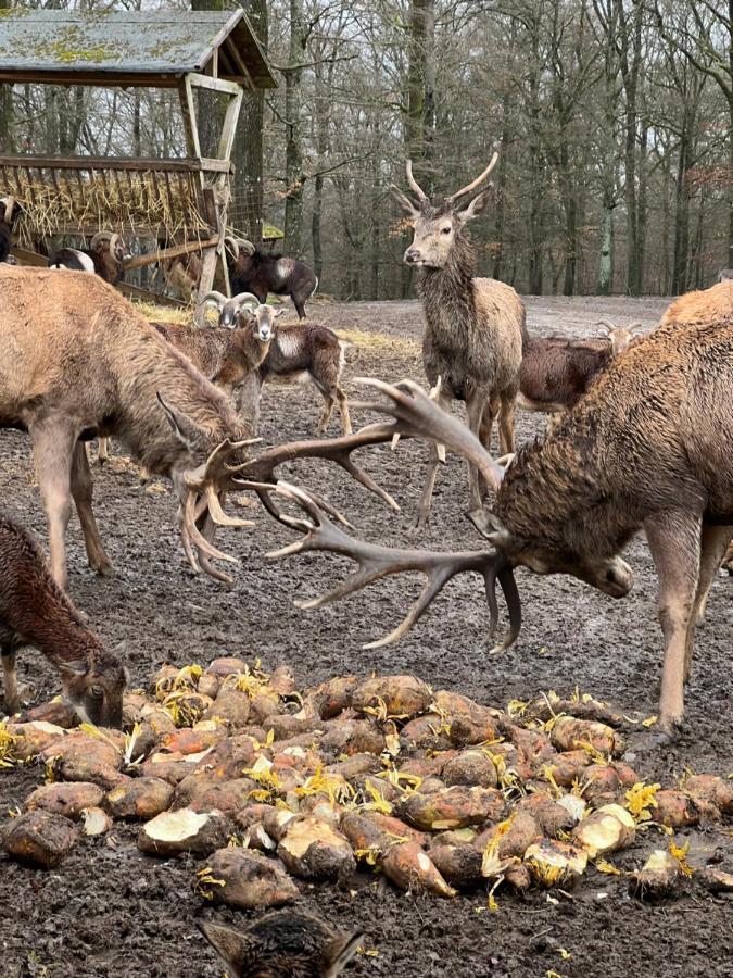 Ferienhaus Waldblick Hohenfels-Essingen Luaran gambar